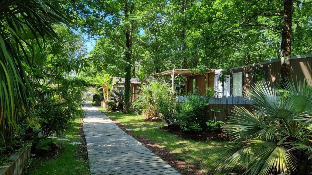 Camping Aux Couleurs Du Ferret Lège-Cap-Ferret Eksteriør bilde