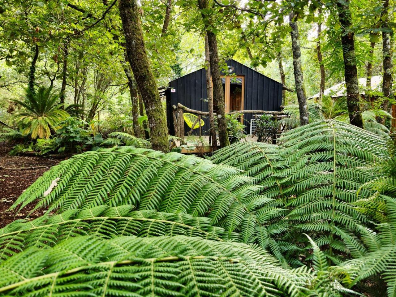 Camping Aux Couleurs Du Ferret Lège-Cap-Ferret Eksteriør bilde