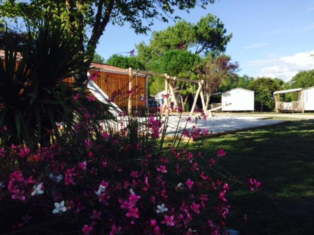 Camping Aux Couleurs Du Ferret Lège-Cap-Ferret Eksteriør bilde