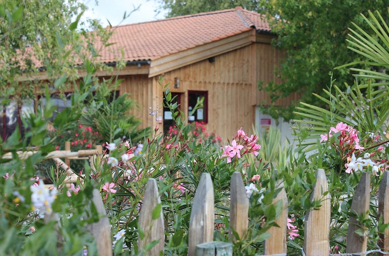 Camping Aux Couleurs Du Ferret Lège-Cap-Ferret Eksteriør bilde